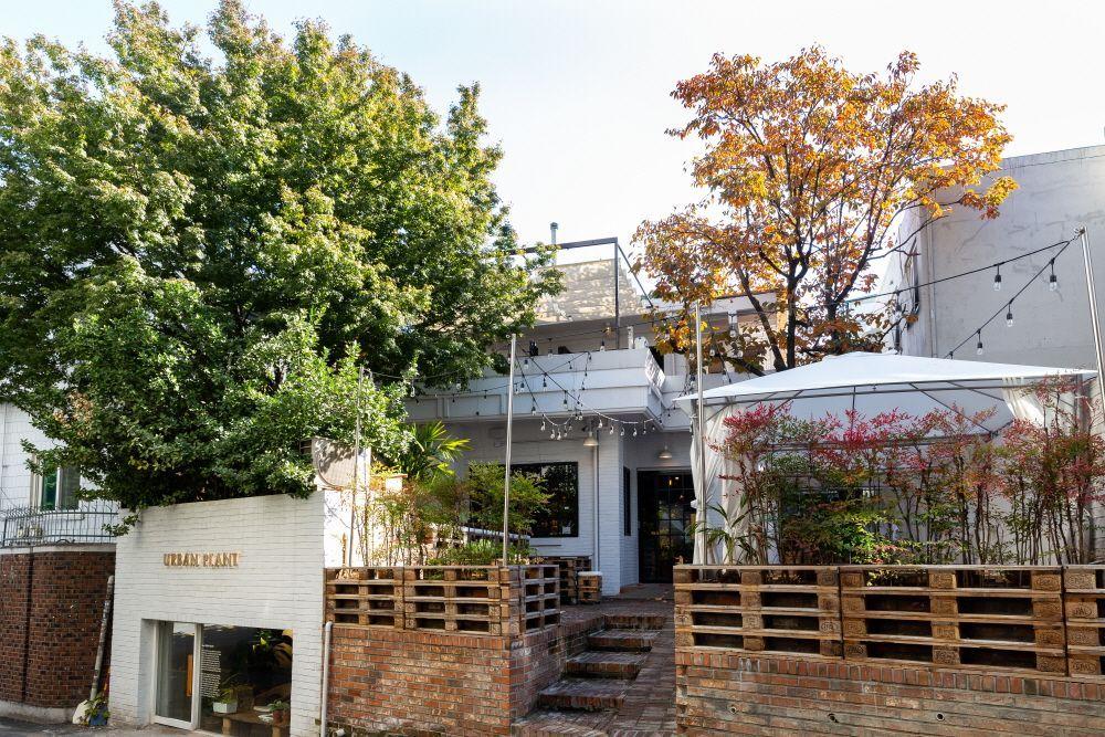 ホンデカフェ、韓国カフェ、ハプチョンカフェ、ブランチカフェ、ブランチ、韓国ブランチ、カフェ、オムレツ、お花カフェ、韓国お花カフェ